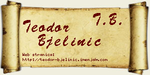 Teodor Bjelinić vizit kartica